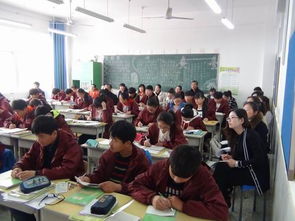 云龙区中学教研共同体英语学科校际交流活动 携手共进，聚焦中小学教研衔接